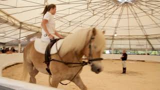 Voltige Equestre  Spectacle de fin dannée 20172018 [upl. by Umont]