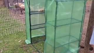 Putting together a small greenhouse from Tractor Supply [upl. by Nodgnal]