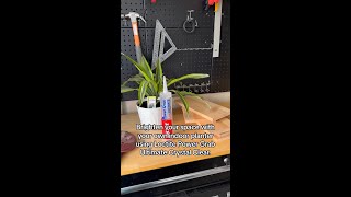 DIY Indoor Planter Box with Loctite® Power Grab® [upl. by Theta742]