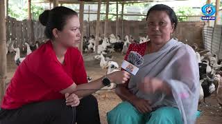 Agriculture Programme Loubuk Maikei Panglashi  Livestock Rearing on Duckery at Kangla Siphai [upl. by Okir]