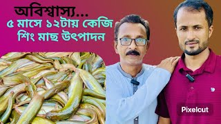 ৫ মাসে ১২টায় কেজি শিং উৎপাদন।। Netro farming [upl. by Fuller44]