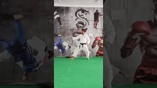 heian godan kata shotokan [upl. by Rogergcam]