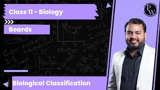 What are chemoautotrophs [upl. by Kriss675]