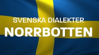 Svenska Dialekter – Norrbottniska Norrländska Voice To Me [upl. by Dragone255]