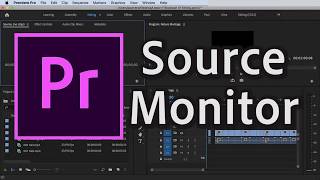 How to Use Source Monitor in Premiere Pro CC 2020 [upl. by Langill474]