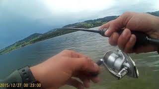 Tailwalk Fullrange ML  Daiwa Luvias 2500R [upl. by Dorine]