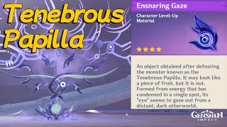 Guide  Tenebrous Papilla Location [upl. by Meares]