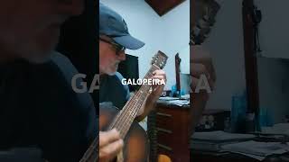 MUSICA GALOPEIRA [upl. by Schilt]