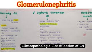 Classification of Glomerular Disease [upl. by Elocn]