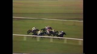 1984 Ladbroke Novices Handicap Hurdle Final Doncaster Run Over [upl. by Martynne776]