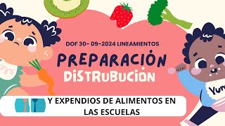 Lineamientos para la expedición y preparación de alimentos en las escuelas [upl. by Maribelle582]