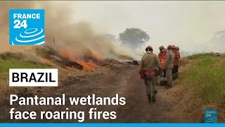 Brazils Pantanal wetlands face roaring fires amid severe drought • FRANCE 24 English [upl. by Onida134]