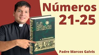 LECTURA DE BIBLIA Numeros 2125 📖 con el padre Marcos Galvis [upl. by Reseda]