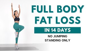 FULL BODY FAT LOSS in 14 Days  40 min Standing Workout  No Jumping Beginner Friendly [upl. by Amat]