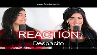 quotDESPACITOquot BY LUCIANA ZOGBI ft MARIA [upl. by Twitt]