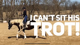 Improve riding your horses trot with these easy techniques [upl. by Tabitha22]