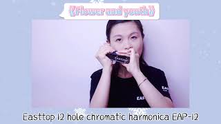 12hole chromatic harmonica [upl. by Aivekahs]