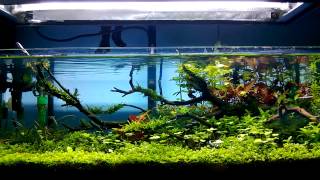 ADA 60F [upl. by Esinyt]