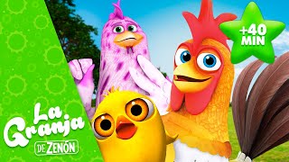 🐓 ¡A Cantar con Bartolito y Más Animales de La Granja de Zenón 2 🐤👨🏼‍🌾 La Granja de Zenón [upl. by Lilac]