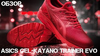 Обзор ASICS TIGER GEL KAYANO TRAINER EVOкроссовки на лето [upl. by Fagin]