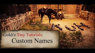 Medieval Dynasty How To Set Custom Names [upl. by Evin453]