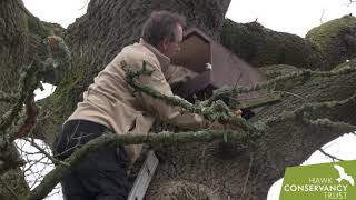 Monitoring Owl and Kestrel Nest Boxes [upl. by Sualocin]