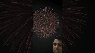 Amazing firework fireworks firework skyshot skyshots [upl. by Hnilym]