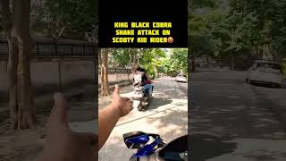 King Black Cobra Snake Attack On Scooty Kid Rider 🤬 shorts viralshort trending youtubeshorts [upl. by Noid214]