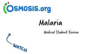 Malaria  Osmosis Study Video [upl. by Marabelle]