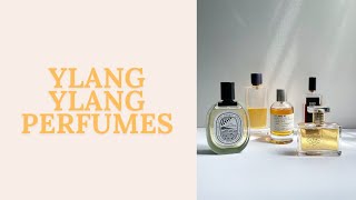 Top Ylang Ylang Perfumes [upl. by Ajtak]