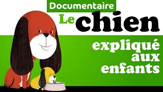 CHIEN CHIENNE CHIOT documentaire animalier pour maternelle [upl. by Elysia462]