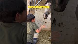 عشق الخيل يتملك قلوب الأطفال🥹🐎 [upl. by Peterus137]