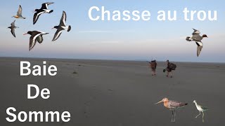 CHASSE A LA BOTTE Baie De Somme limicoles et canards [upl. by Assenad584]