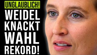 🚨WAHLHAMMER WEIDEL KNACKT URALTREKORD AfD ÜBERHOLT CDU IN UMFRAGEN🚨 [upl. by Anerok]