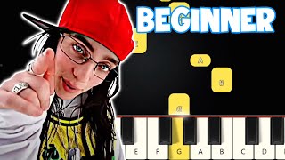 LUNCH  Billie Eilish  Beginner Piano Tutorial  Easy Piano [upl. by Faludi462]