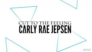 Carly Rae Jepsen Cut to the Feeling I had a dream Extended Mix [upl. by Ahsem916]