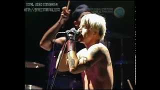 Red Hot Chili Peppers  Otherside live at Big Day Out 2000 [upl. by Ilrahc]