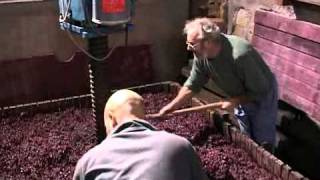 Un pressoir traditionnel en Pays Beaujolais [upl. by Eiramit]