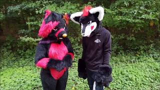 fursuit evolutions 20142017 [upl. by Maibach539]