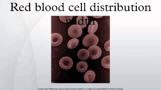 Red blood cell distribution width [upl. by Bran898]