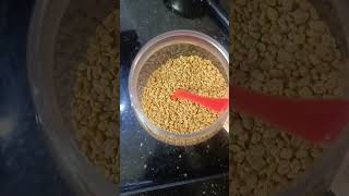 Hair fall solution with flax seeds shortsfeed minivlog haircareroutine flaxseedsforhairgrowth [upl. by Oiramed800]