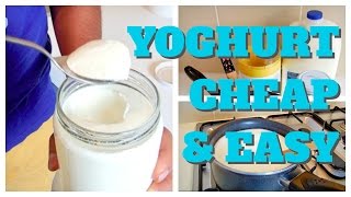 How to make cheap amp easy yoghurt yogurt [upl. by Gusba]