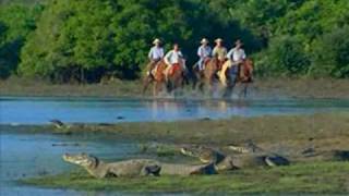 Almir Sater  Capim Azul Blue Grass [upl. by Maddeu]