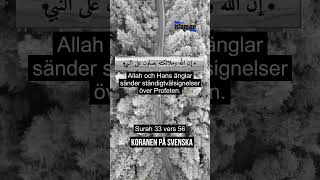 Koranen på svenska Koranens budskap koranenpåsvenska koranen islamse bilalse koranensbudskap [upl. by Ecnatsnoc]