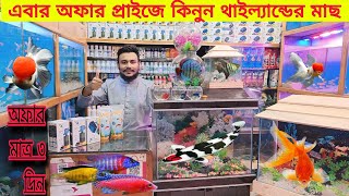 Aquarium Fish Price In katabon 2024🐠🐠 Aquarium Fish Price  Aquarium  AR Rahman aquarium 🐠🐠 [upl. by Rodolph]