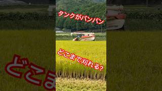 Kubota combine harvester ER572 クボタの5条72馬力コンバインで刈り取りSTAR🏃 [upl. by Canute]