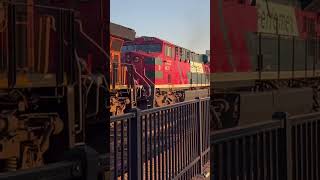 FXE 4631 trails 3rd on BNSF intermodal train through Joliet on 1052024 [upl. by Philomena]