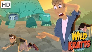 Wild Kratts  Rescuing the Worlds Most Beautiful Creatures [upl. by Bunns]