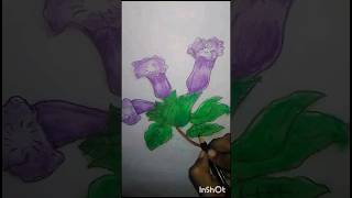 kurinji flower 💯 drawing and colouring 🌷🌷🌷 music [upl. by Hallett]