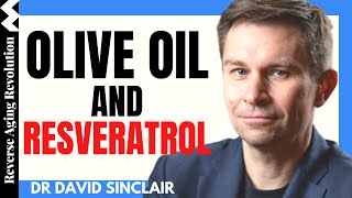 DAVID SINCLAIR “Olive Oil amp Resveratrol”  Dr David Sinclair Interview Clips [upl. by Dream995]